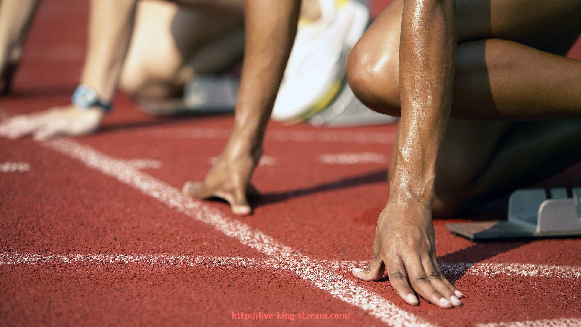 王者体育直播-国际知名健身器材品牌与产品推荐：全球知名品牌及其明星产品推荐